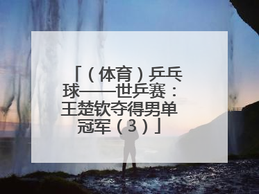 （体育）乒乓球——世乒赛：王楚钦夺得男单冠军（3）